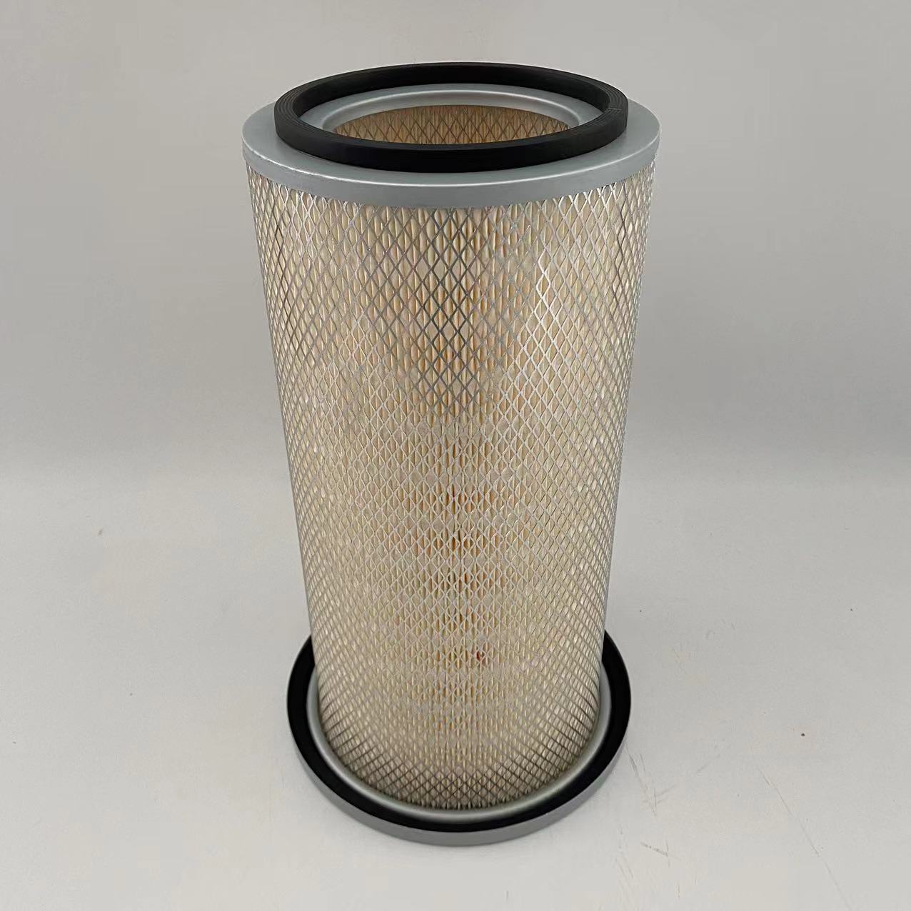 Air filter AF4838 alang sa carter