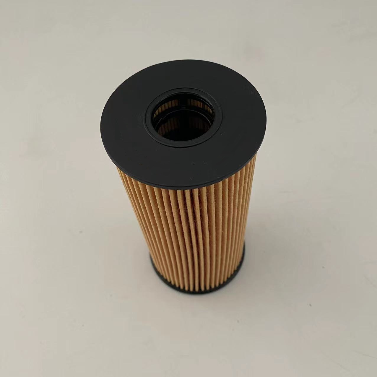Mga filter sa lana 1012014-FD2301